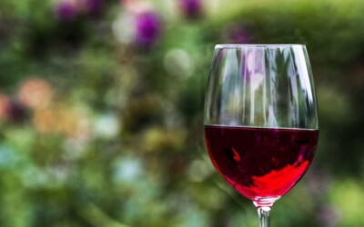 ¿Cómo se elabora el vino tinto?