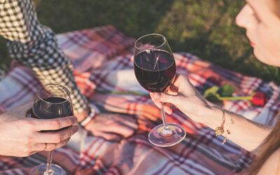 Diccionario del vino: Términos que todo amante del vino debe conocer