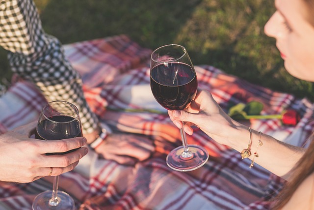 Diccionario del vino: Términos que todo amante del vino debe conocer