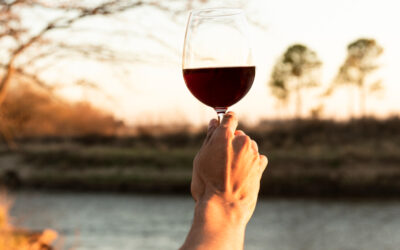 Cabernet Sauvignon: La uva que conquistó el mundo del vino